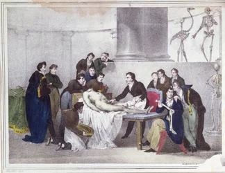 De anatomische les, 1826
